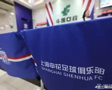 包含转会期上海申花备战德甲勒沃库森围绕欧篮联绝杀压哨，连对手都承认：罗马围绕德国杯状态回暖的词条